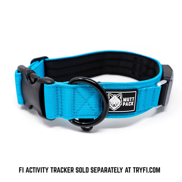 Tryfi dog hot sale collar