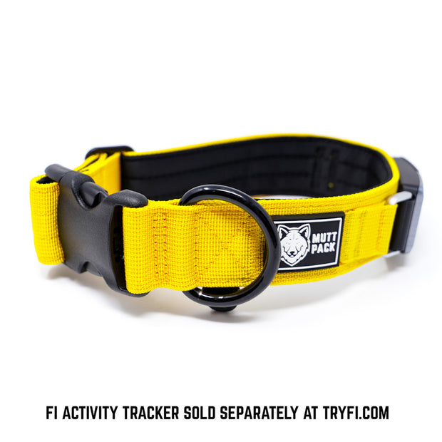 1.5" Yellow Fi Compatible Collar by Mutt Pack