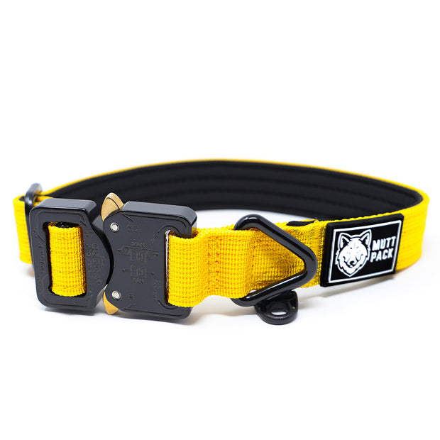 Cobra Buckle Dog Collar by Mutt Pack_Yellow