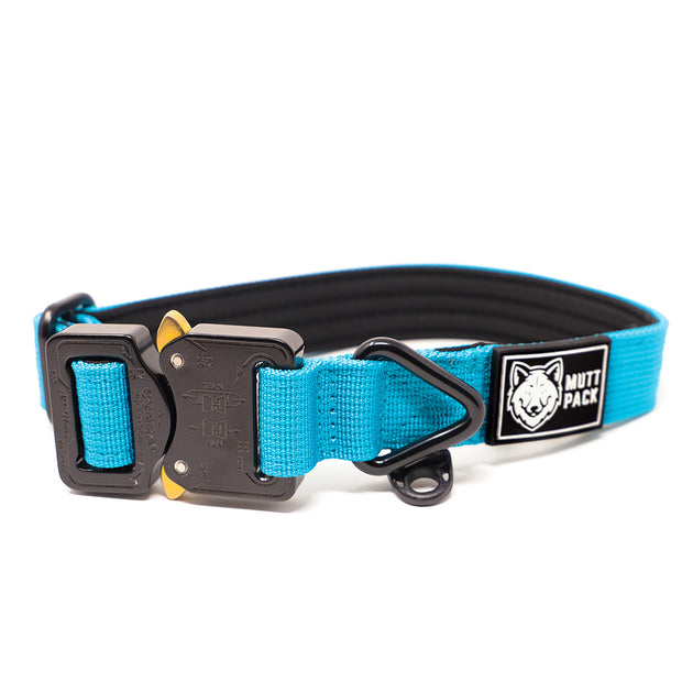 Cobra Buckle Dog Collar by Mutt Pack_Ocean Blue