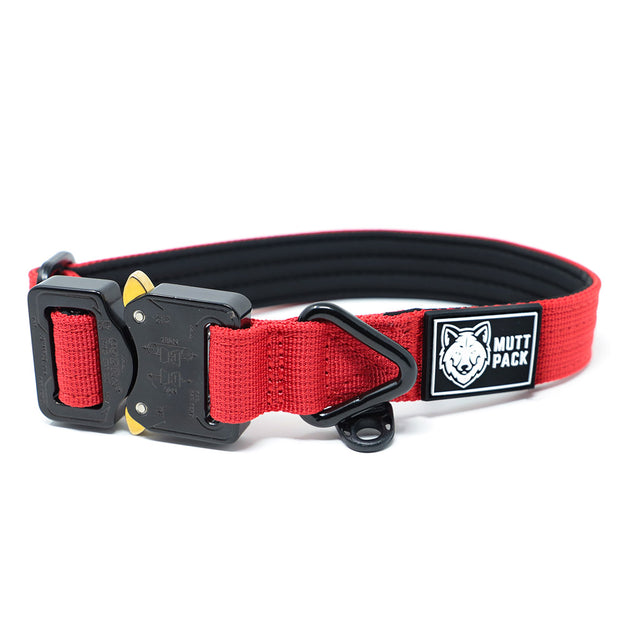 Cobra Buckle Dog Collar by Mutt Pack_Red