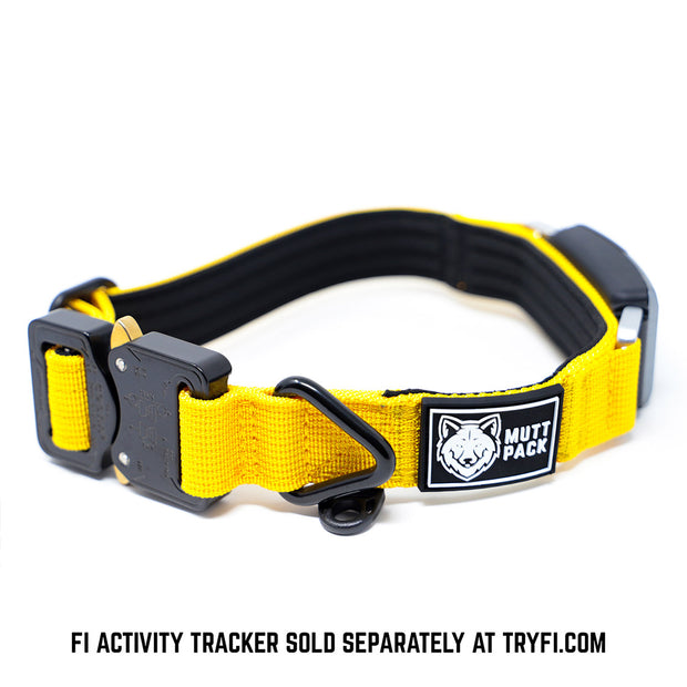 Fi Compatible Cobra Buckle Collar by Mutt Pack_Yellow