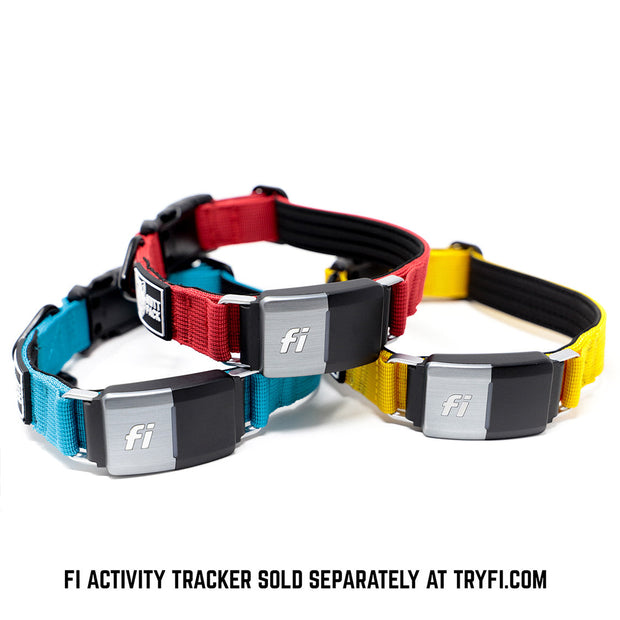 Fi Compatible YKK Buckle Collar by Mutt Pack