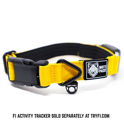 Fi Compatible YKK Buckle Collar by Mutt Pack_Yellow