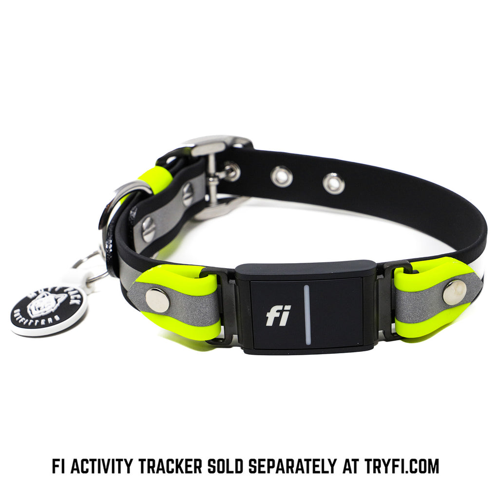 Tryfi dog hotsell collar reviews