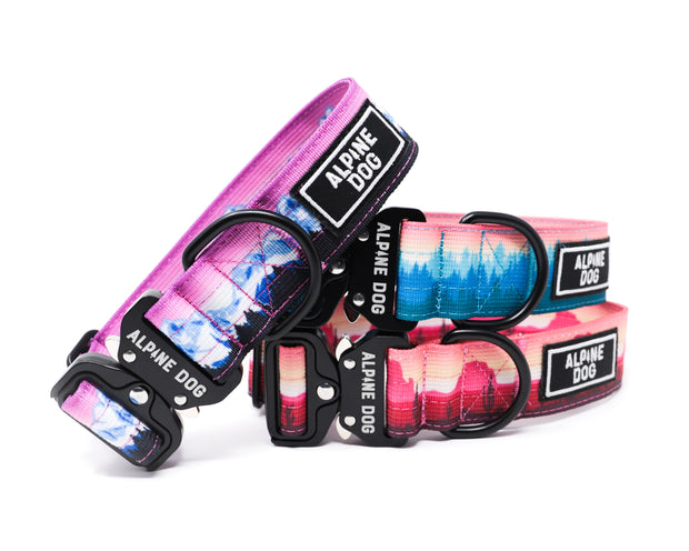 Alpine Dog multiple tactical collars with fun prints and patterns