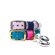 BioThane® Puppy/Small Dog Collar