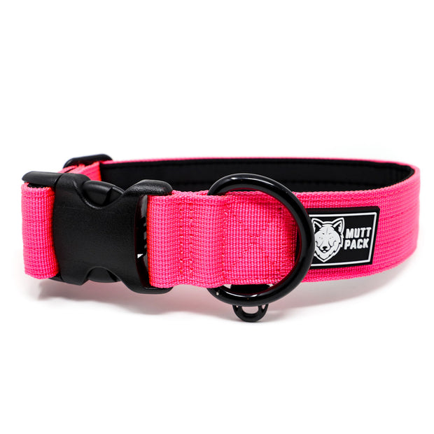 Pink 1.5" Premium Collar by Mutt Pack