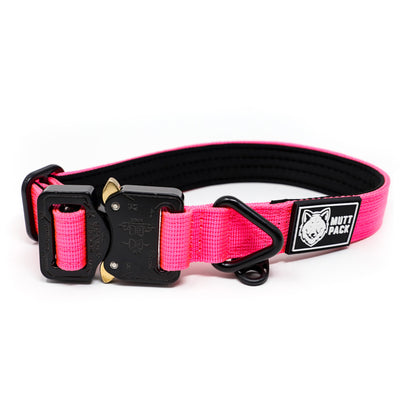 Pink Cobra Buckle Collar by Mutt Pack