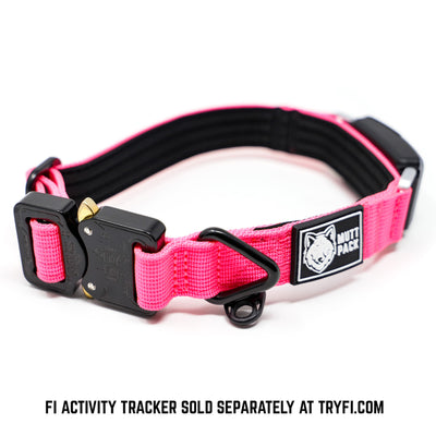 Pink Cobra Buckle Fi Compatible Dog Collar By Mutt Pack