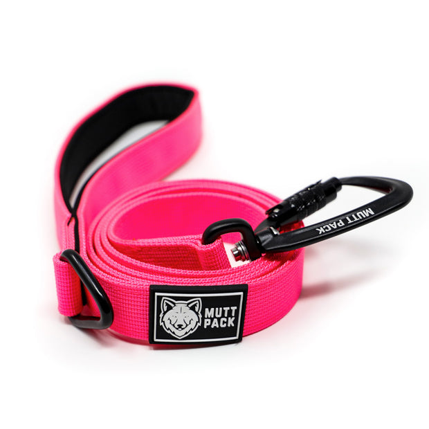 Premium Dog Leash - Pink