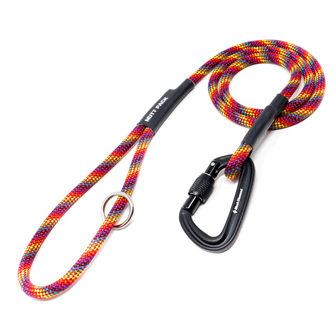 RainbowClimbingRopeLeashwithCa