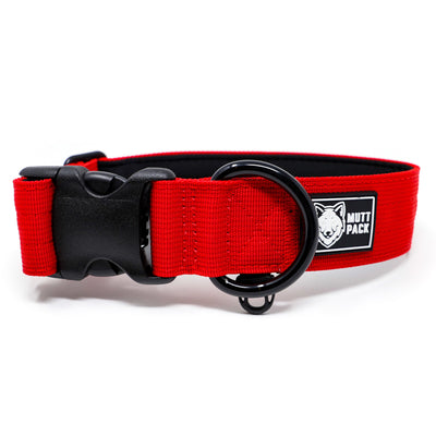 Red 1.5" Premium Collar by Mutt Pack