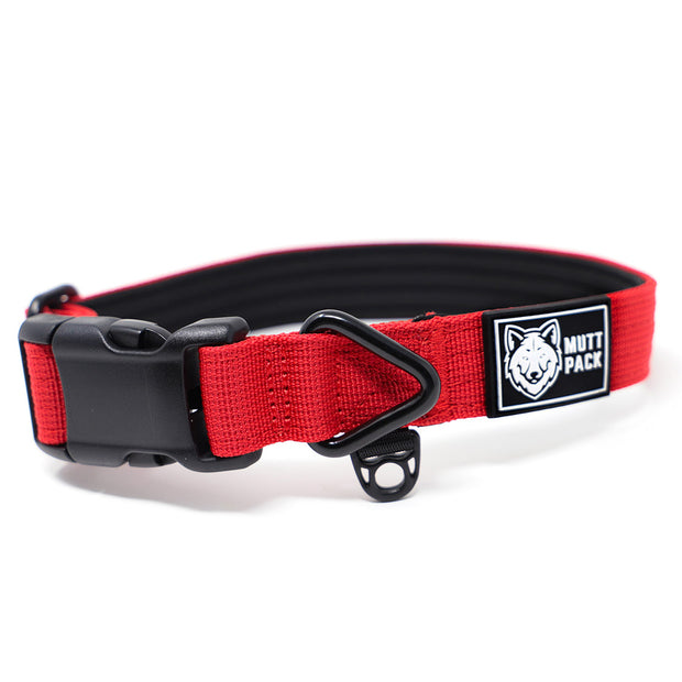 Premium Dog Collar - Red