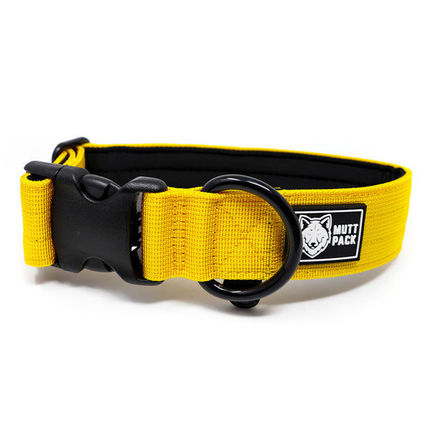 Yellow 1.5" Premium Collar by Mutt Pack
