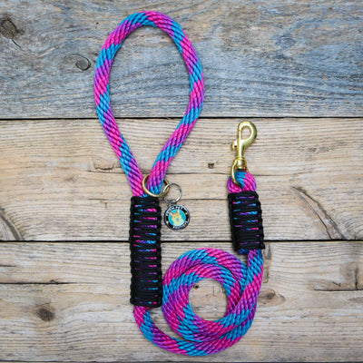 Nebula Rope Leash Dog Leash - Mutt Pack Outfitters 